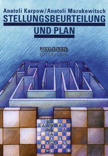 Stellungsbeurteilung und Plan (Praxis Schach, Band 75)
